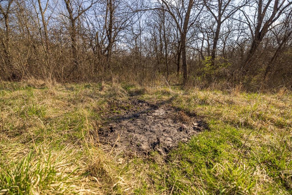 West State Line Road Grant City, MO 64456 - Photo 17 of 99