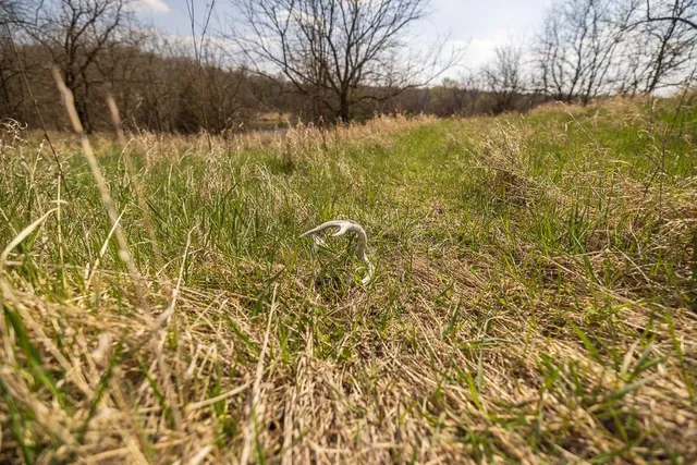 $972,500 | West State Line Road, Grant City, MO 64456