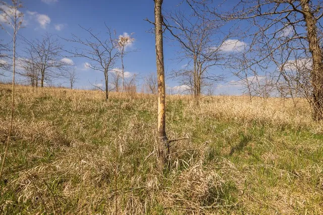 $972,500 | West State Line Road, Grant City, MO 64456