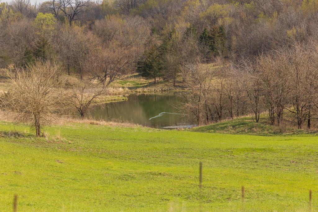 West State Line Road Grant City, MO 64456 - Photo 22 of 99