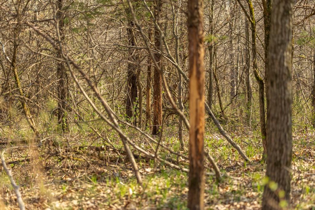 West State Line Road Grant City, MO 64456 - Photo 24 of 99