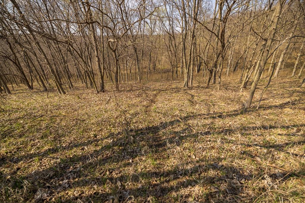 West State Line Road Grant City, MO 64456 - Photo 25 of 99