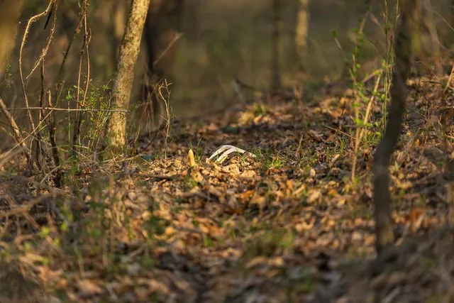 $972,500 | West State Line Road, Grant City, MO 64456