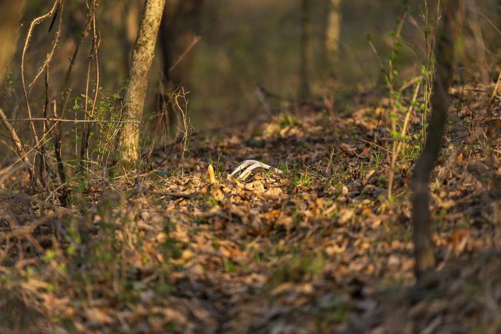 West State Line Road Grant City, MO 64456 - Photo 29 of 99