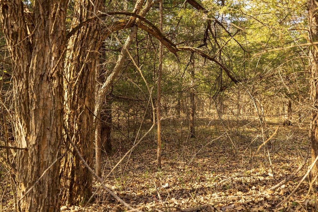 West State Line Road Grant City, MO 64456 - Photo 31 of 99