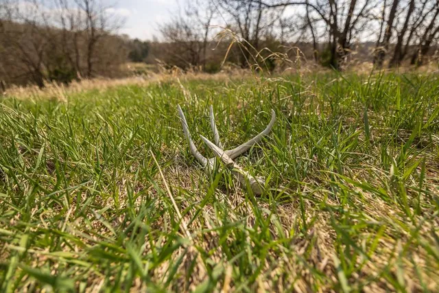 $972,500 | West State Line Road, Grant City, MO 64456