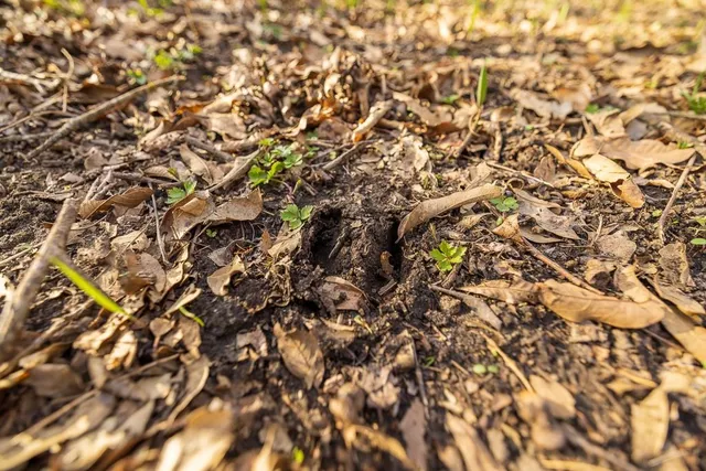 $972,500 | West State Line Road, Grant City, MO 64456