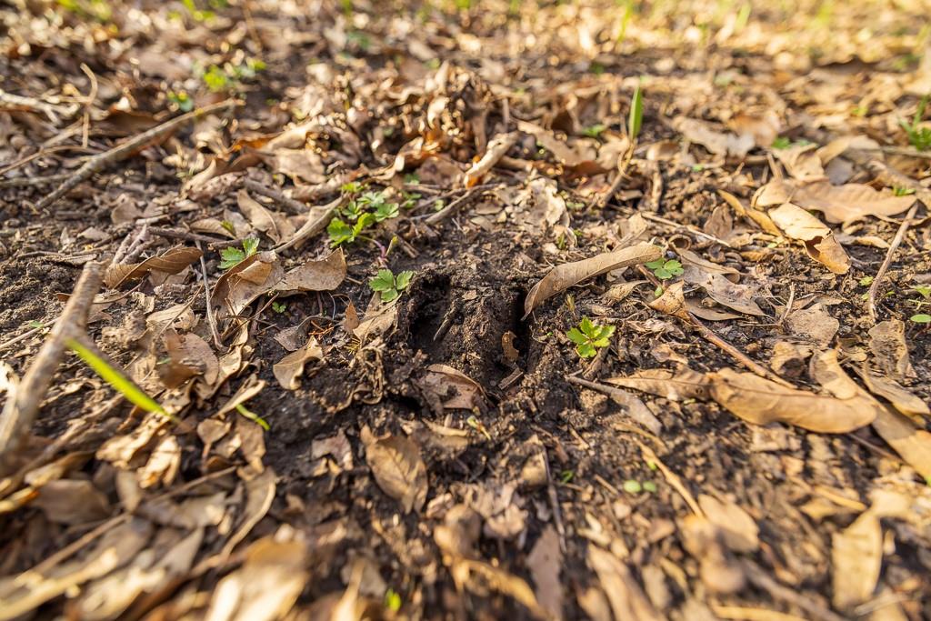 West State Line Road Grant City, MO 64456 - Photo 39 of 99