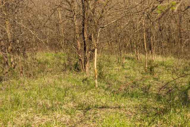 $972,500 | West State Line Road, Grant City, MO 64456