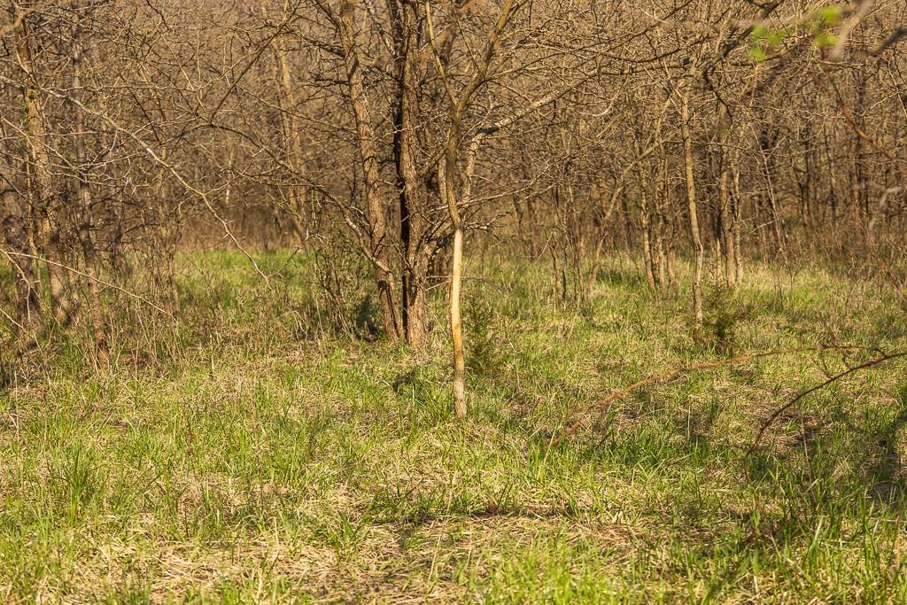 West State Line Road Grant City, MO 64456 - Photo 41 of 99