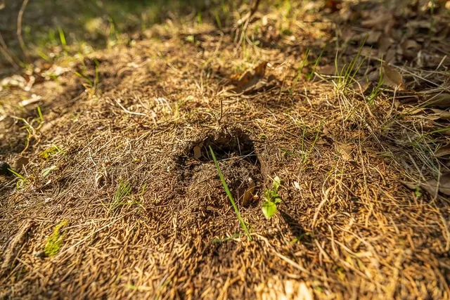 $972,500 | West State Line Road, Grant City, MO 64456