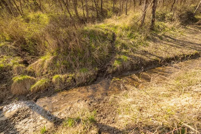 $972,500 | West State Line Road, Grant City, MO 64456