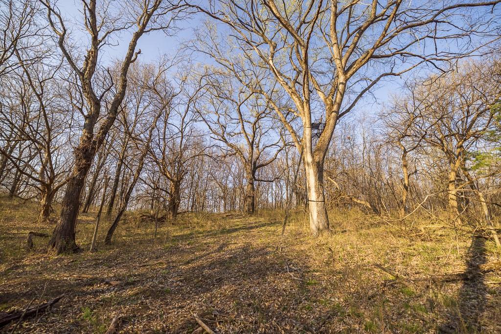 West State Line Road Grant City, MO 64456 - Photo 48 of 99