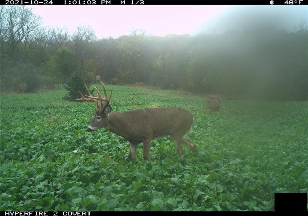 West State Line Road Grant City, MO 64456 - Photo 5 of 99