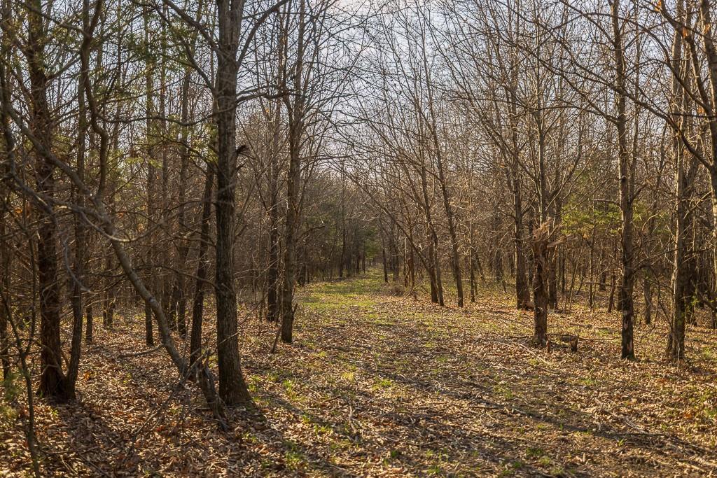 West State Line Road Grant City, MO 64456 - Photo 52 of 99