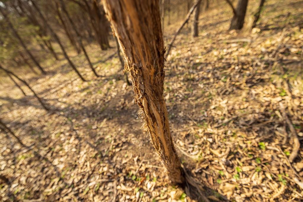 West State Line Road Grant City, MO 64456 - Photo 53 of 99