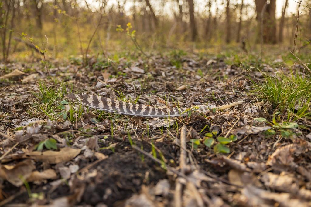 West State Line Road Grant City, MO 64456 - Photo 54 of 99