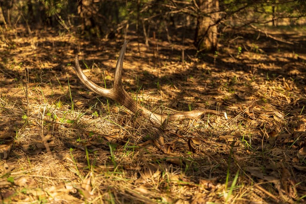 West State Line Road Grant City, MO 64456 - Photo 57 of 99