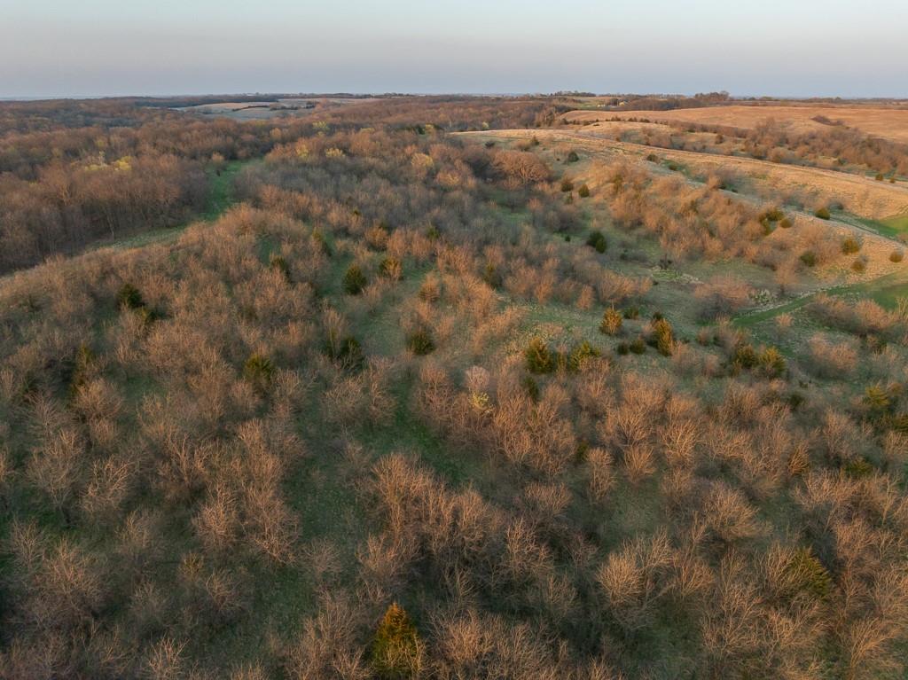 West State Line Road Grant City, MO 64456 - Photo 67 of 99