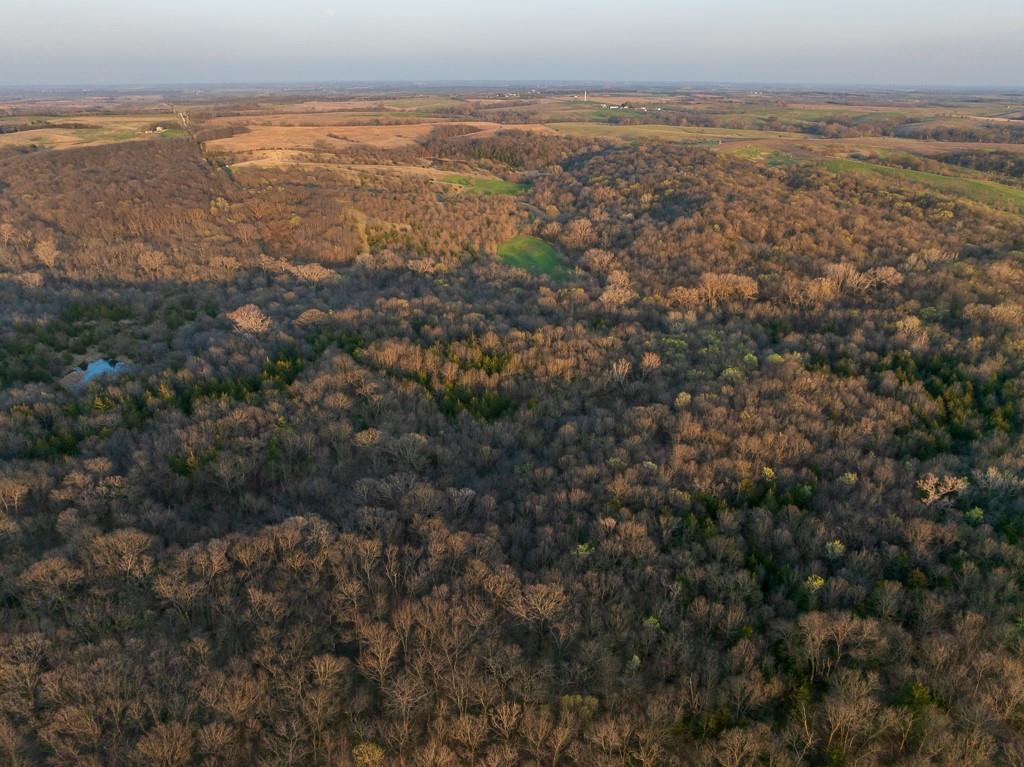 West State Line Road Grant City, MO 64456 - Photo 73 of 99