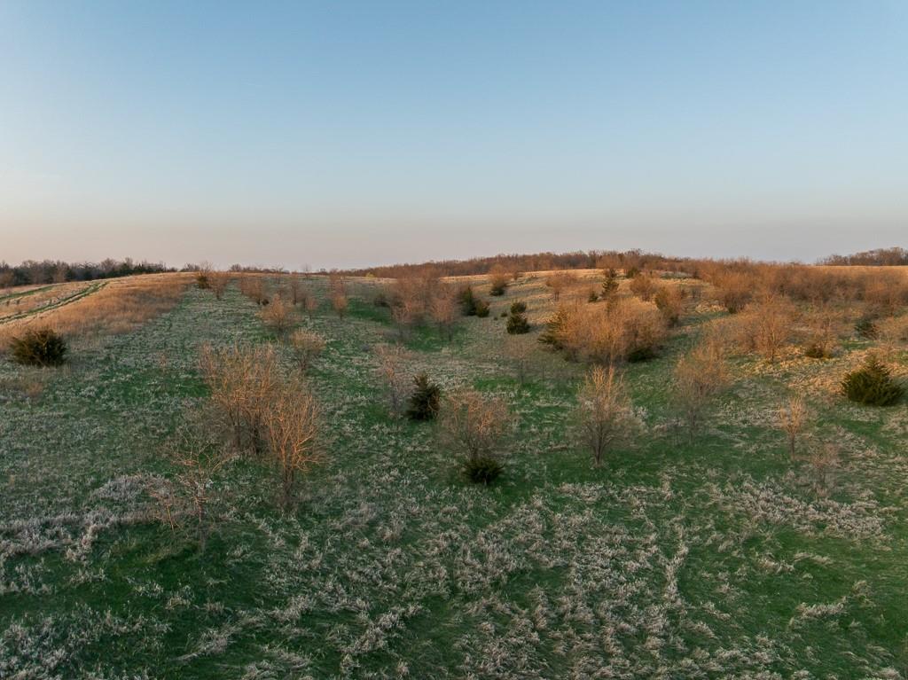 West State Line Road Grant City, MO 64456 - Photo 77 of 99
