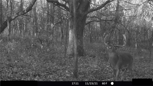 $972,500 | West State Line Road, Grant City, MO 64456