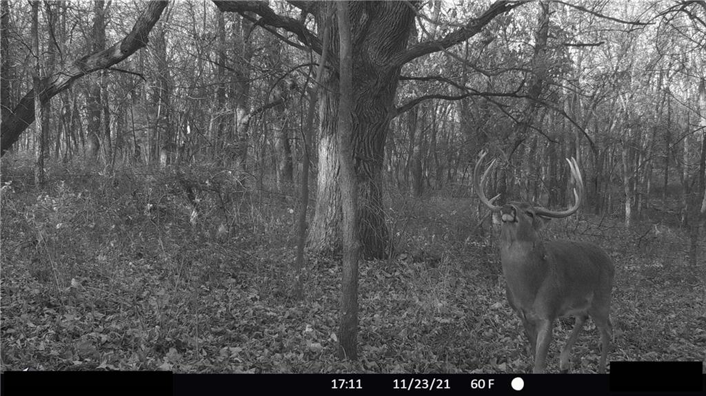 West State Line Road Grant City, MO 64456 - Photo 78 of 99