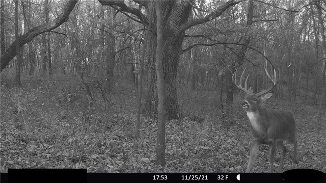 $972,500 | West State Line Road, Grant City, MO 64456