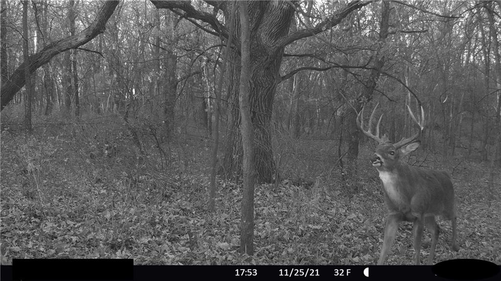 West State Line Road Grant City, MO 64456 - Photo 79 of 99