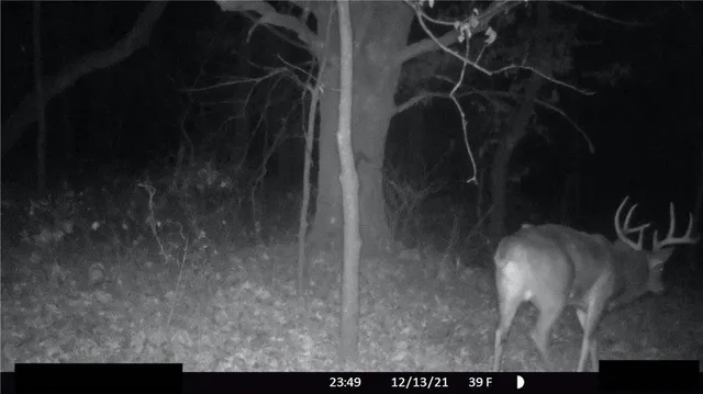 $972,500 | West State Line Road, Grant City, MO 64456