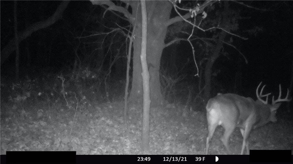 West State Line Road Grant City, MO 64456 - Photo 80 of 99