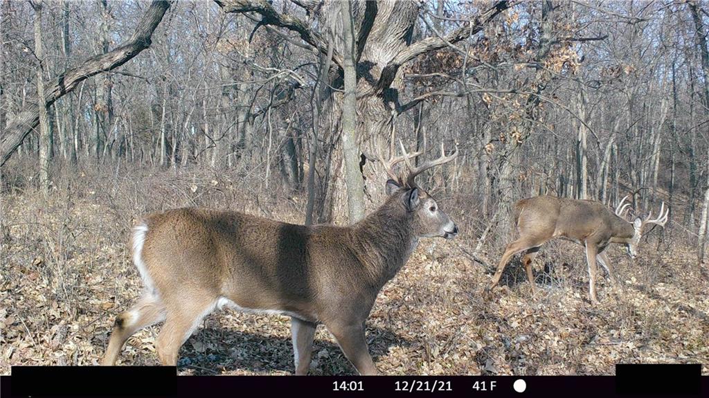 West State Line Road Grant City, MO 64456 - Photo 81 of 99