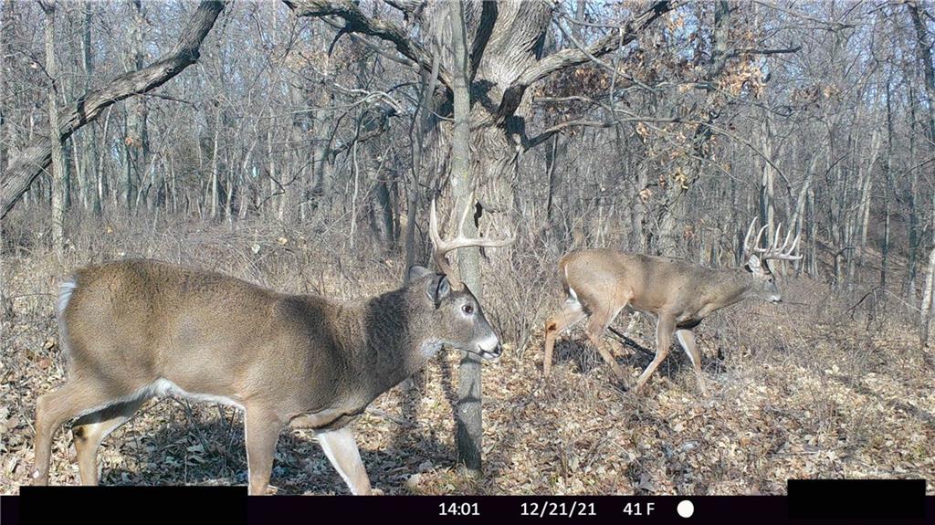 West State Line Road Grant City, MO 64456 - Photo 82 of 99