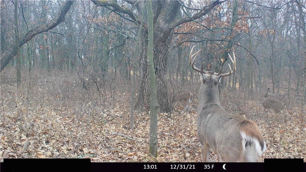 West State Line Road Grant City, MO 64456 - Photo 83 of 99