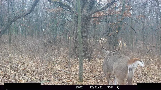 $972,500 | West State Line Road, Grant City, MO 64456