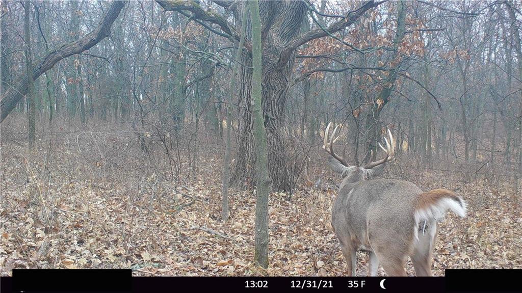 West State Line Road Grant City, MO 64456 - Photo 84 of 99