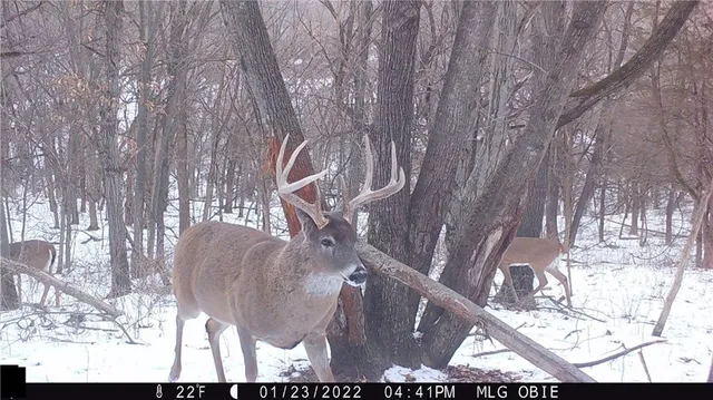 $972,500 | West State Line Road, Grant City, MO 64456