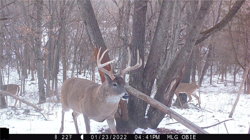 West State Line Road Grant City, MO 64456 - Photo 85 of 99