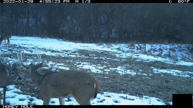 $972,500 | West State Line Road, Grant City, MO 64456