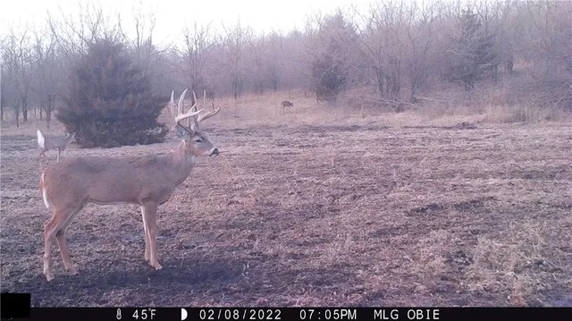 $972,500 | West State Line Road, Grant City, MO 64456