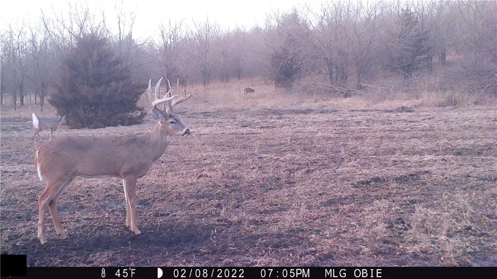West State Line Road Grant City, MO 64456 - Photo 87 of 99