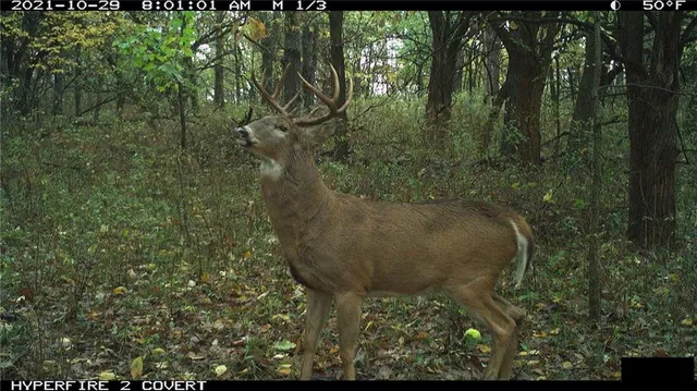 $972,500 | West State Line Road, Grant City, MO 64456