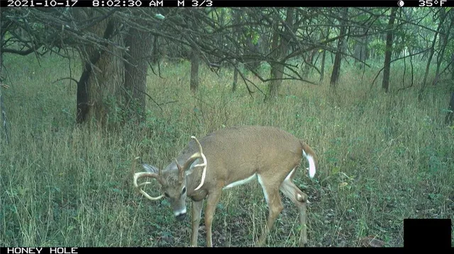 $972,500 | West State Line Road, Grant City, MO 64456