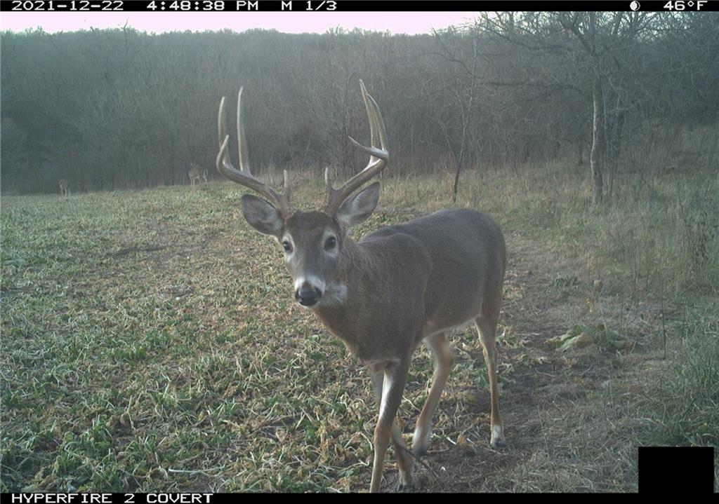 West State Line Road Grant City, MO 64456 - Photo 90 of 99