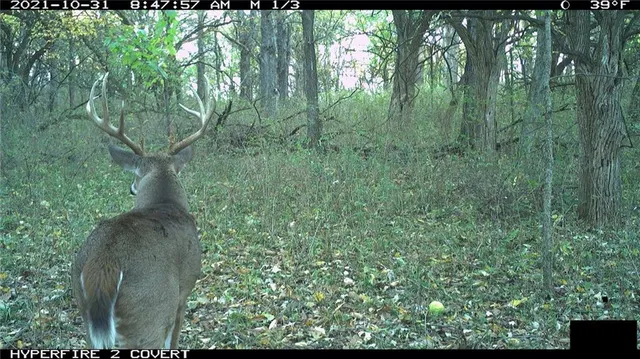 $972,500 | West State Line Road, Grant City, MO 64456