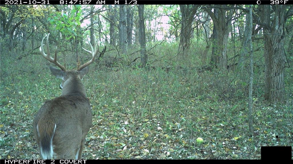 West State Line Road Grant City, MO 64456 - Photo 91 of 99