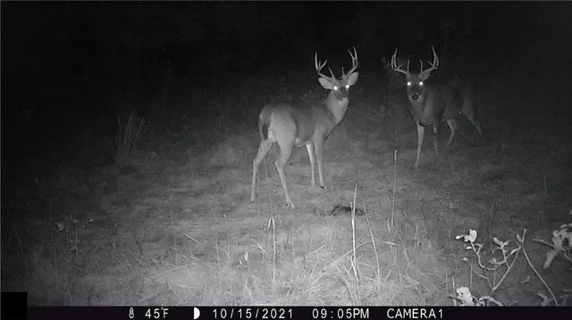 $972,500 | West State Line Road, Grant City, MO 64456