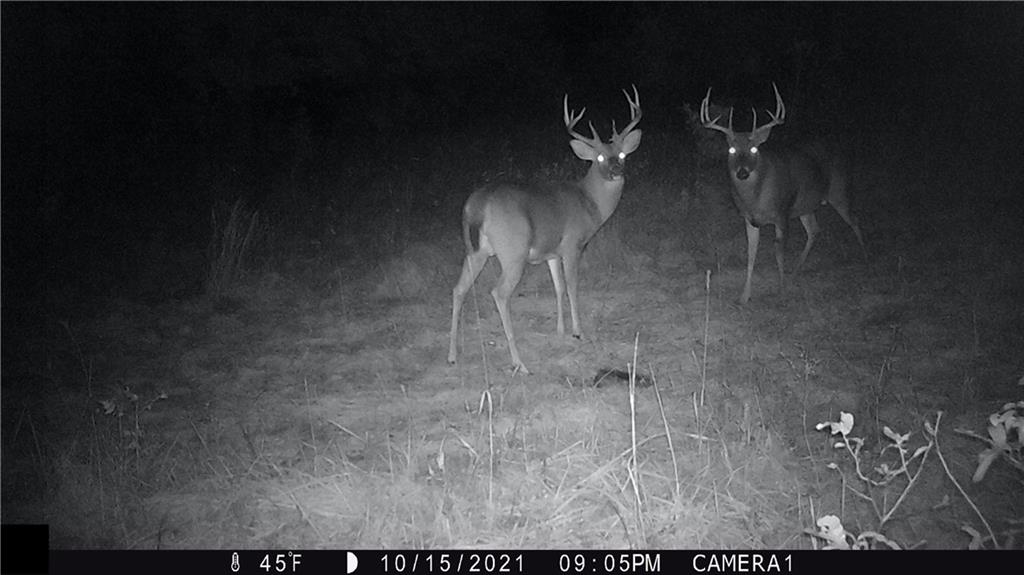 West State Line Road Grant City, MO 64456 - Photo 92 of 99