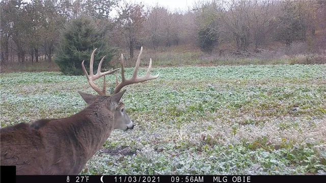 $972,500 | West State Line Road, Grant City, MO 64456