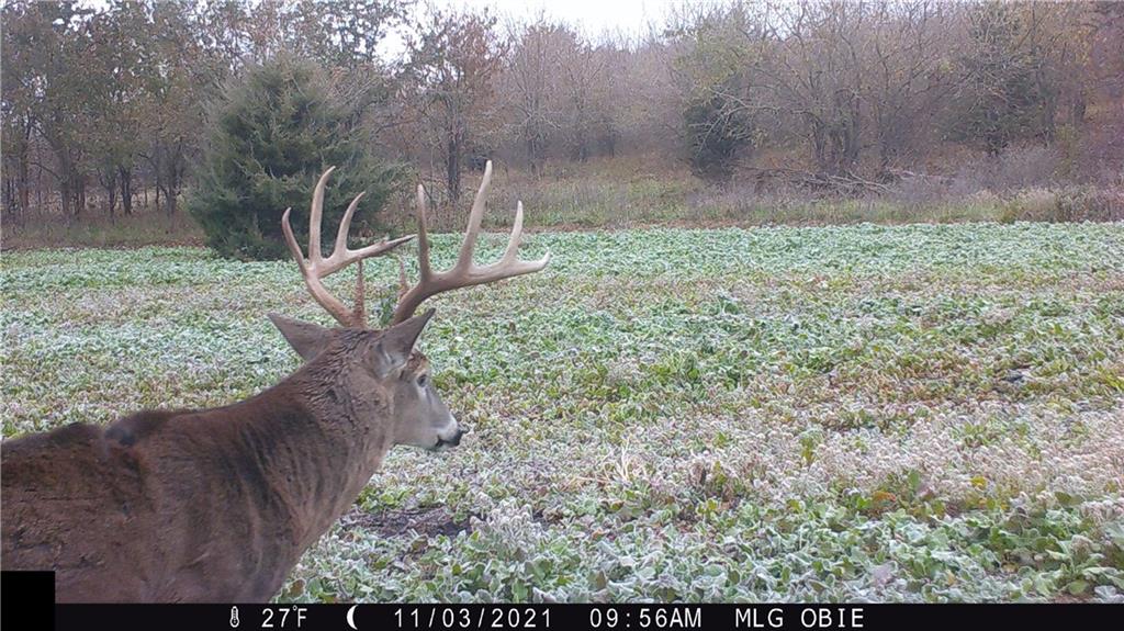 West State Line Road Grant City, MO 64456 - Photo 93 of 99